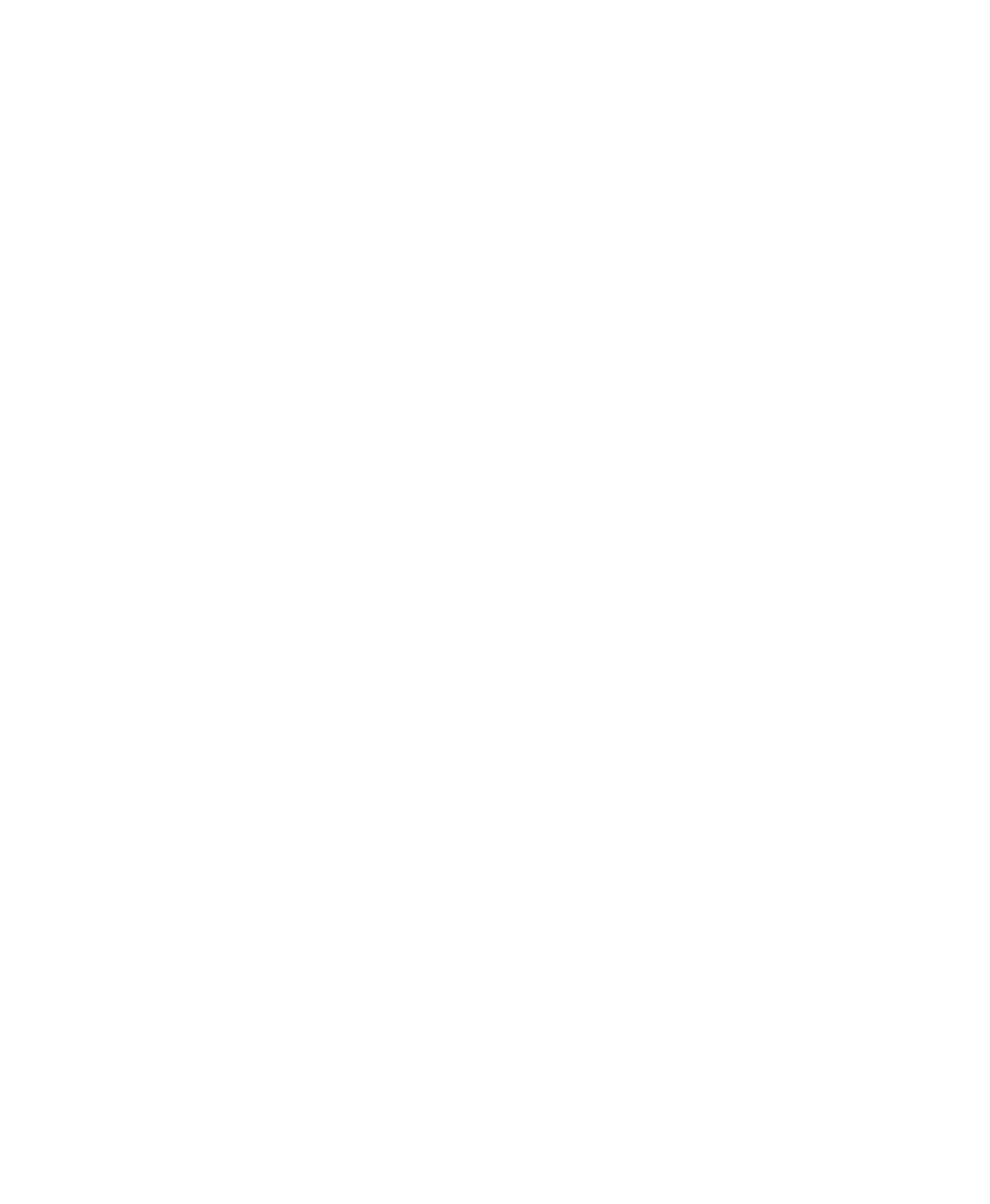 Repuestos Aries Logo